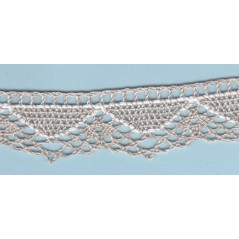 Puntilla bicolor 38b1